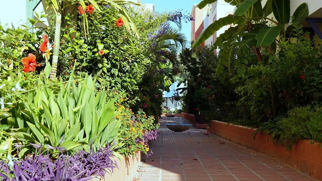 Apartamentos Starnerja II Apartment