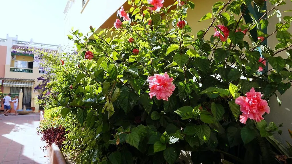 Apartamentos Starnerja II 0*, Nerja